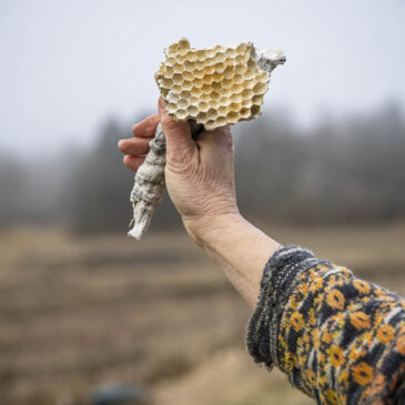 Månadens konstnär: Åsa Herrgård // 26 februari-22 mars